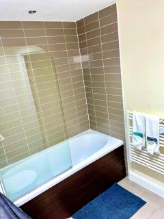 The blue sapphire - Birmingham - 9