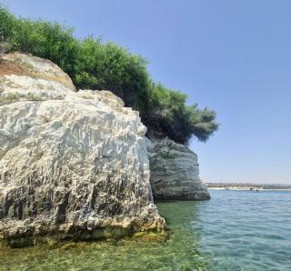 Governors Beach Costas Apts - Plage du Gouverneur - 8