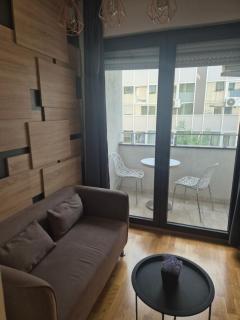 Vortex Studio - Near Central Park - Skopje - 1