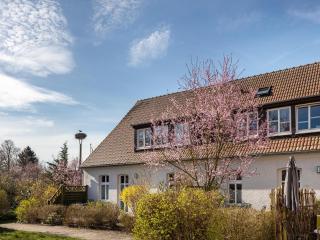 Studio in Buchholz am Mueritzsee - Buchholz - 1