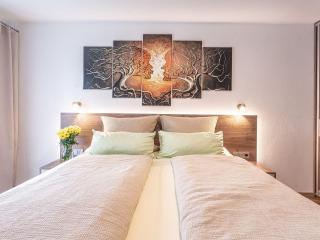 Spacious apartment with sauna - Drachselsried - 4