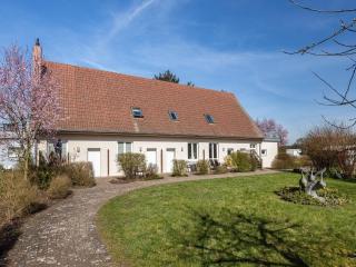Reihenhaus mit WLAN in Buchholz am Müritzsee - Buchholz - 3