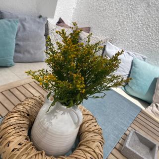 Mellow Paros - Parikia - 1