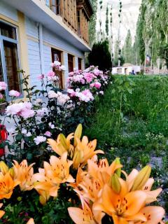 Hotel Namgyal Villa - Nubra - 3