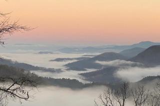 Bear's Eye View at Bear Lake Reserve - Tuckasegee - 1