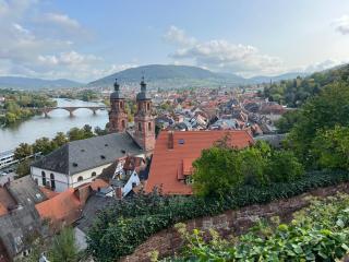 schönes Studio für Ihren Kurzurlaub in Miltenberg - 8