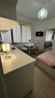 Two bedroom flat - Hyper Center Brussels - Bruxelles - 3