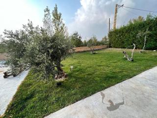 Casa Del Mela Villa - 1