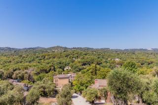 Zervos Corfu Estate - Kastanéa - 3