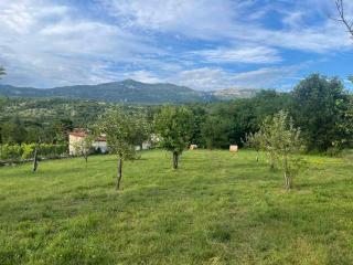 Green Cottage - Podgorica - 1