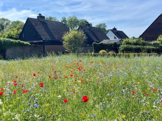 Family home near lake, beach and dunes - 3