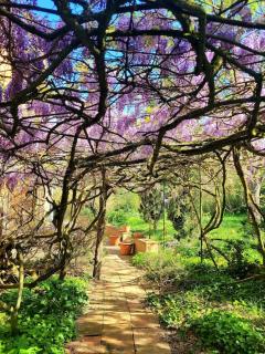 Domaine d'en serres, 15th century castle - 6