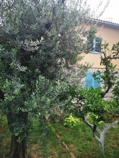 Rustic House Budva - Budua - 0