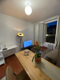 Cozy Parisian Flat in 15th Arr - 7