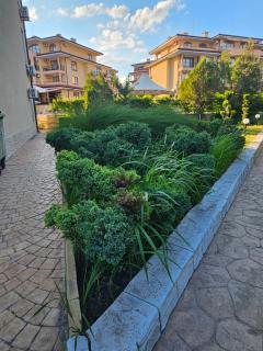Apartments Anna on Saint Vlas - Sveti Vlas - 1