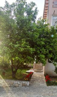 Efi house - Alepou - 7