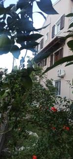 Efi house - Alepou - 8
