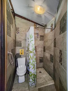 Sloth Romantic Treehouse with plunge pool - Talamanca - 4
