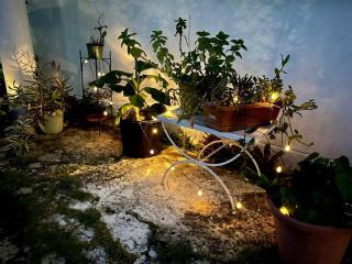 Sunny breeze 2 bed apt airport and beaches are close - San Juan - 7
