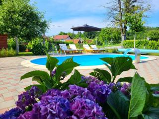 Vila Mellis - Duga Resa - 8
