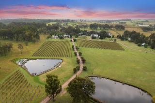 Bracken Ridge Vineyard The Entire Estate - Rothbury - 7