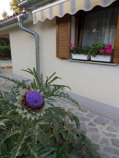 Apartma Istra Zora - Sečovlje - 7