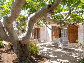 Agriturismo Masseria Alcorico - Gagliano del Capo - 7