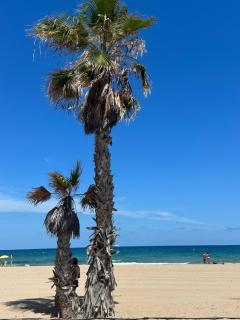 Las Casitas Del Mar - Alicante - 8