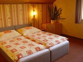 Pension Nostalgie - Beroun - 4