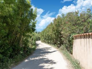 Spacious holiday home with private pool and park - Puisserguier - 6