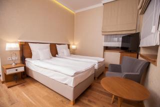 Hotel Alhambra - Lądek-Zdrój - 9