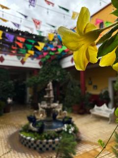 Copa de Oro Hotel Boutique - Mascota - 0