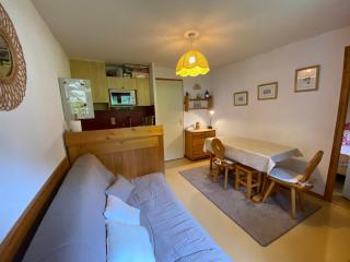 Appartement cosy à Châtel - 4 pers, balcon, parking, proche télécabine, accès WIFI, animaux admis - FR-1-198-265 - Châtel - 9