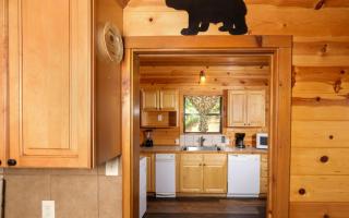 Treetop Tranquility - Sevierville - 1