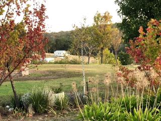 Las Casitas - Donnybrook - 7