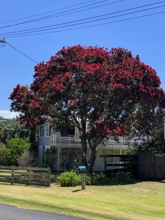 Playtime Plus - Matapouri Holiday Home - Whangarei - 9