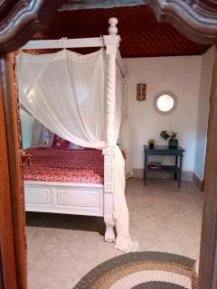 Mandala Blu Wellness - Ubud - 2