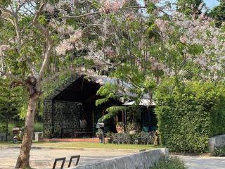 Rock Forest - Sattahip - 4