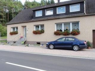 Lux Comfortable holiday residence - Niederehe - 8
