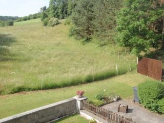 Lux Comfortable holiday residence - Niederehe - 7