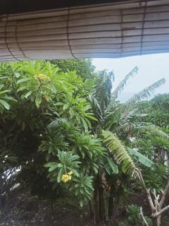 Fishermen's Guesthouse - 8