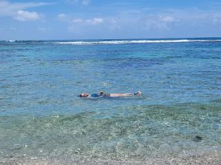 Villa Tesoros del Mar - Luxury Beachfront Villa with Natural Pool, Jacuzzi, Mountain Views, Yoga, BBQ, Wi-Fi, Pet & Family Friendly, Barahona Adventures - El Arroyo - 1