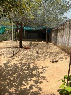 Prithvi Farm - Manjhāoli - 5