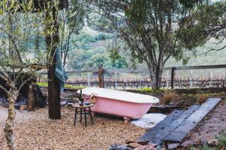 Kingsgate Farm-Stay - 3