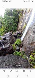 Highlands Homestay Fiji - Mbukuya - 3