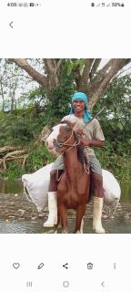 Highlands Homestay Fiji - Mbukuya - 1