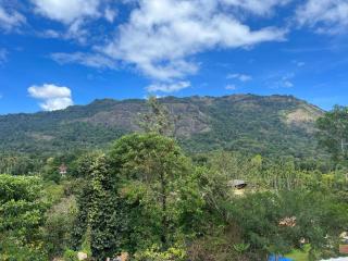 Naymoon Pool Villa Wayanad - Kalpetta - 2