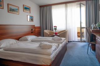 Lipno Wellness - Frymburk C 301 - Frymburk - 9