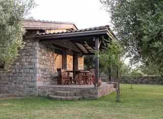 Olive Garden Toroni - Torone - 9