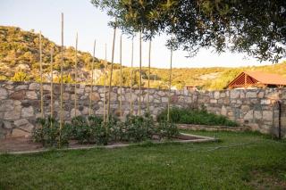 Olive Garden Toroni - Torone - 6